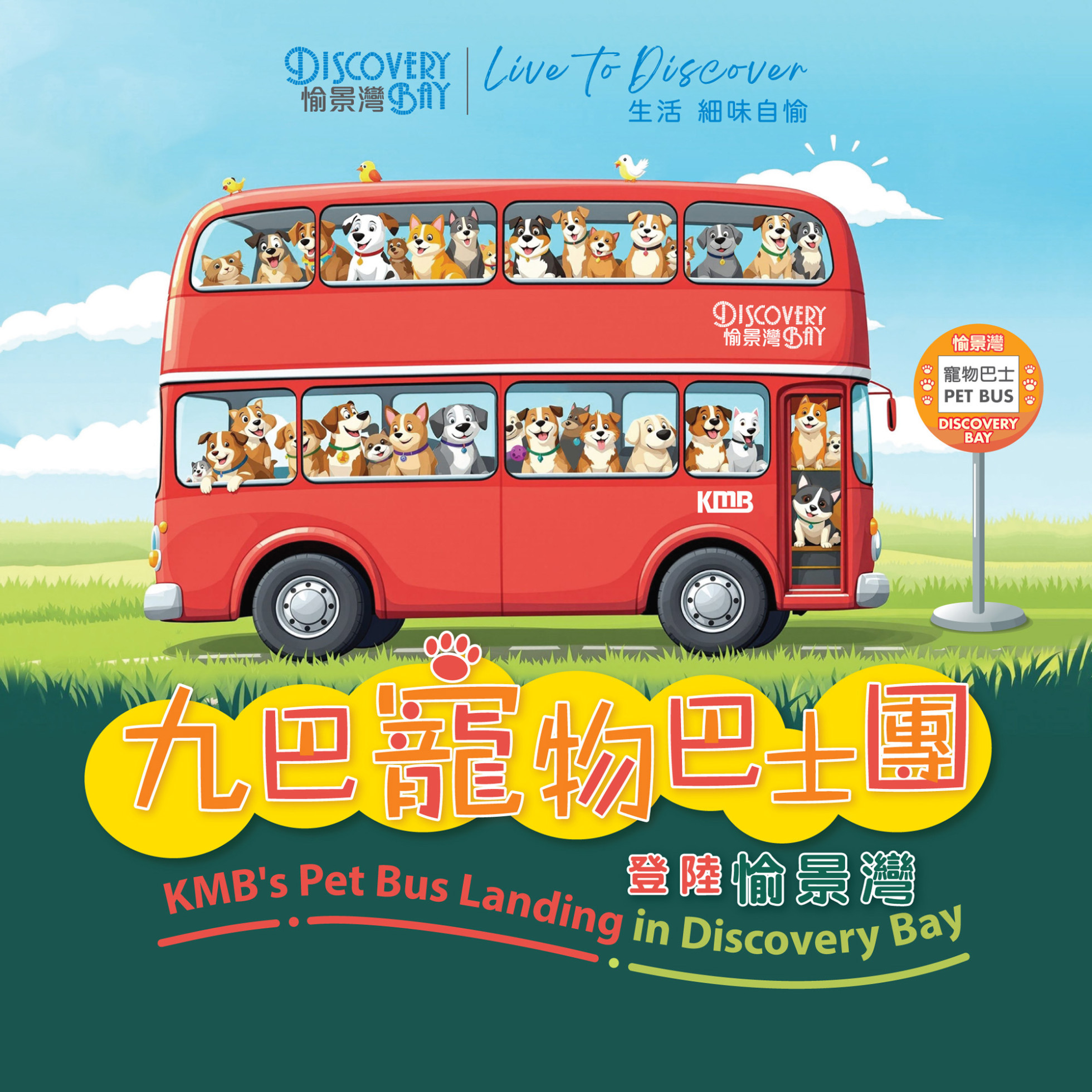 九巴寵物巴士團登陸愉景灣